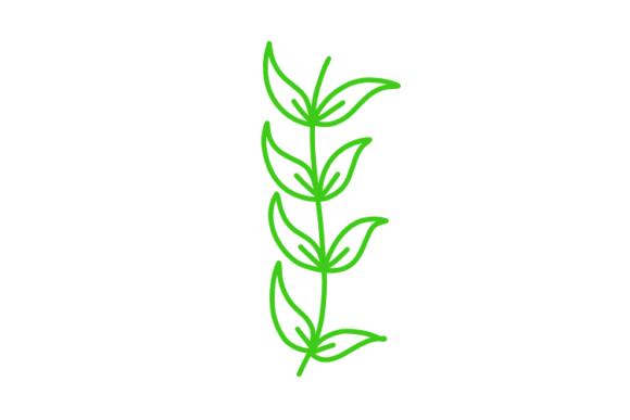 Download Floral Clipart - Clipart Collection