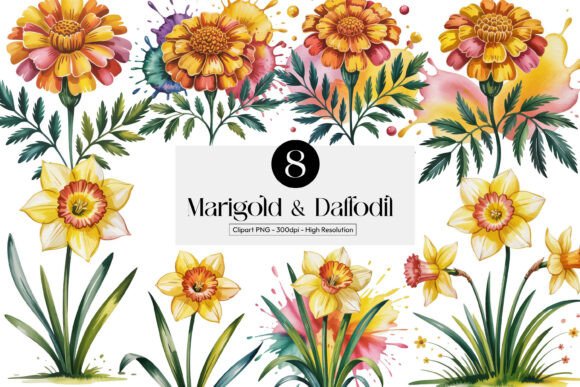 Download Marigold &amp; Daffodil Cliparts Pngs - Clipart Collection