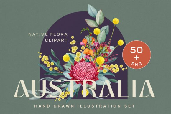 Download Australia Flora Watercolor Clipart - Clipart Collection