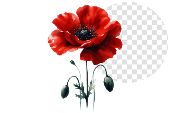 Download Poppify Watercolor Red Poppy Clipart - Clipart Collection