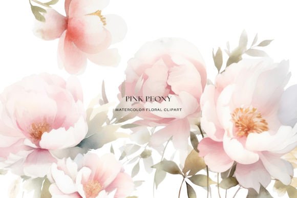 Download Watercolor Peony Clipart Collection - Clipart Collection