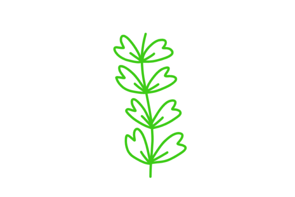 Download Floral Clipart - Clipart Collection