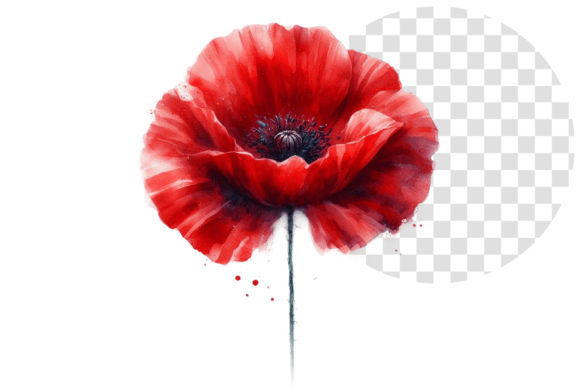 Download Poppify Watercolor Red Poppy Clipart - Clipart Collection
