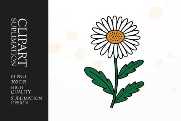 Download White Daisy Clipart PNG - Clipart Collection