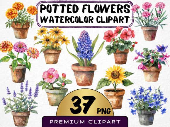 Download Potted Flowers Clipart Bundle 37 PNG - Clipart Collection
