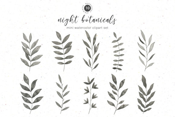 Download Black Botanical Watercolor Clipart - Clipart Collection