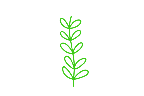 Download Floral Clipart - Clipart Collection