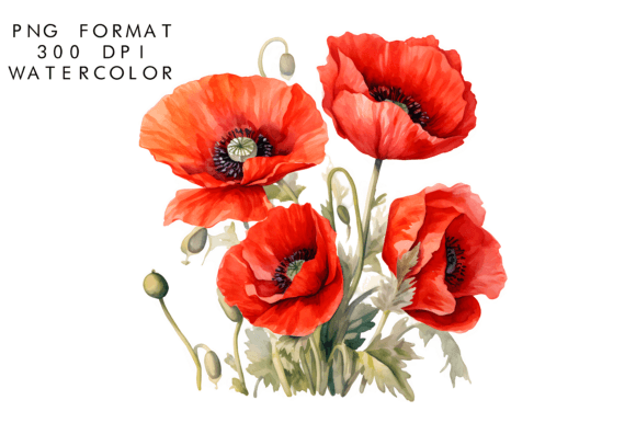 Download Watercolor Poppy Flower Clipart - Clipart Collection