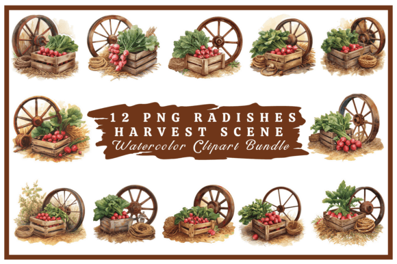 Download Radishes Watercolor Clipart Bundle #13 - Clipart Collection