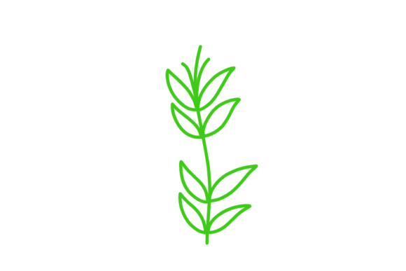 Download Floral Clipart - Clipart Collection