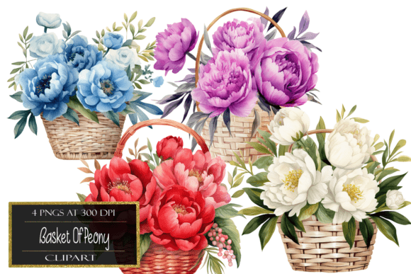 Download Watercolor Basket of Peony Clipart - Clipart Collection