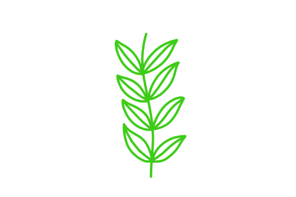 Download Floral Clipart - Clipart Collection