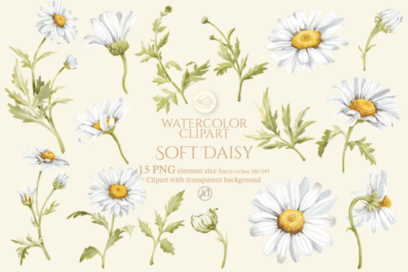 Download Soft Daisy Flower Watercolor Clipart Set - Clipart Collection