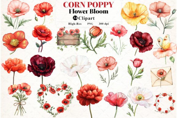Download Corn Poppy Flower Bloom Clipart - Clipart Collection