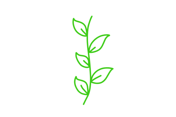 Download Floral Clipart - Clipart Collection