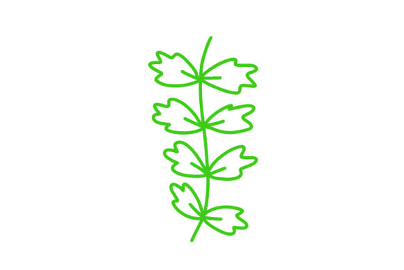 Download Floral Clipart - Clipart Collection