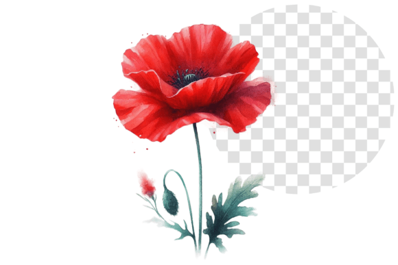 Download Poppify Watercolor Red Poppy Clipart - Clipart Collection
