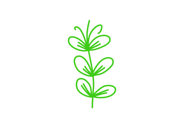 Download Floral Clipart - Clipart Collection