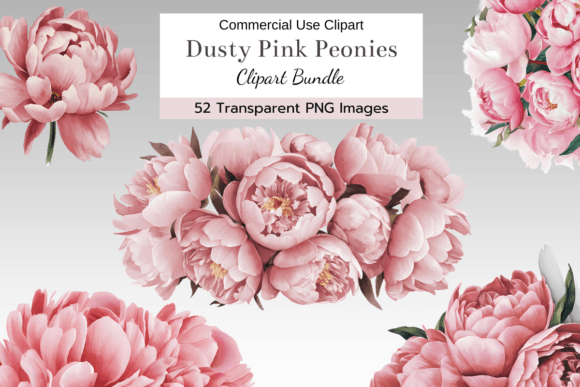 Download Dusty Pink Peony Clipart Bundle - Clipart Collection