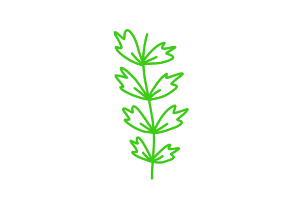 Download Floral Clipart - Clipart Collection