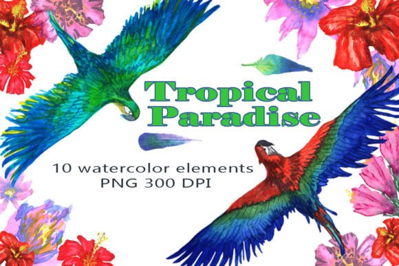 Download Tropical Paradise Watercolor Clipart - Clipart Collection