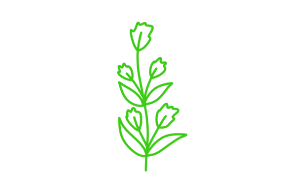 Download Floral Clipart - Clipart Collection
