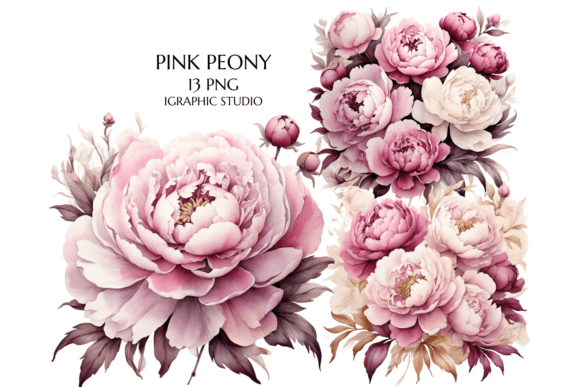 Download Pink Peony Clipart, Peonies Png - Clipart Collection
