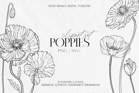 Download Line Poppy Clipart PNG SVG - Clipart Collection