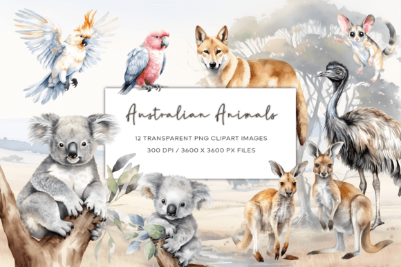 Download Australian Watercolor Animals Clipart - Clipart Collection
