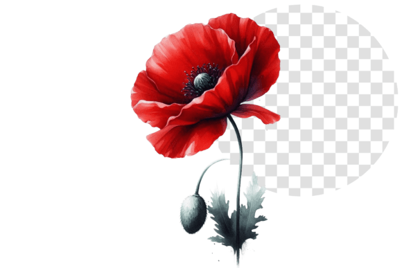 Download Poppify Watercolor Red Poppy Clipart - Clipart Collection