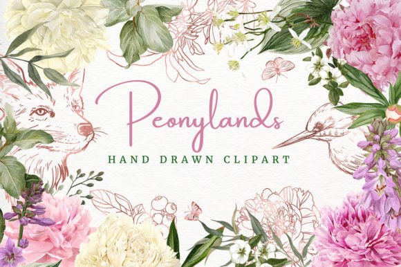 Download Peony Land, Hand Drawn Clipart - Clipart Collection