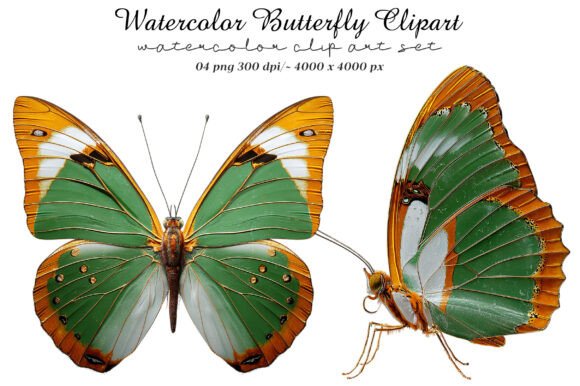Download Watercolor Butterfly Clipart - Clipart Collection