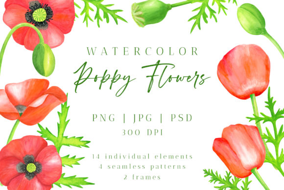 Download Red Poppy Flower Watercolor PNG Cliparts - Clipart Collection