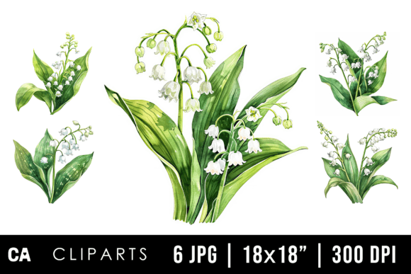 Download Watercolor Lily of the Valley Cliparts - Clipart Collection