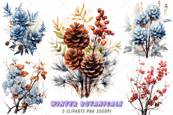 Download Watercolor Botanicals Clipart | Winter - Clipart Collection