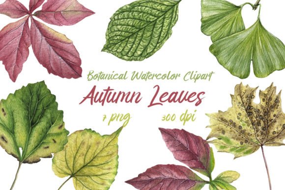 Download Watercolor Clipart Autumn Leaves - Clipart Collection