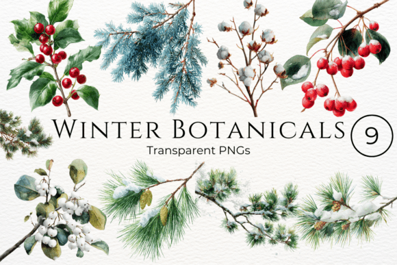 Download Winter Botanicals Watercolor Clipart - Clipart Collection